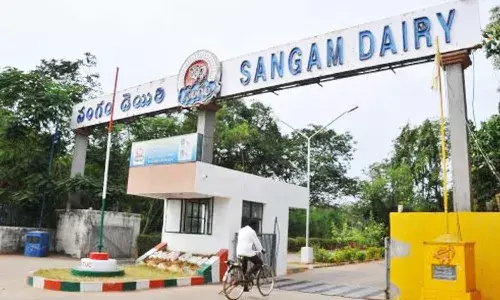 sangam dairy