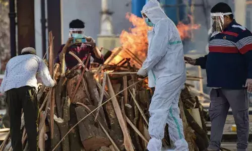 telangana corona cases