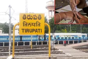 Tirupathi by elections Tirupathi by elections