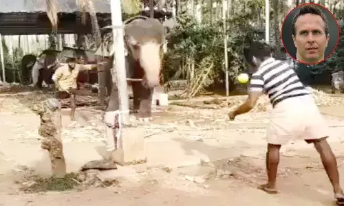 elephant playing cricket