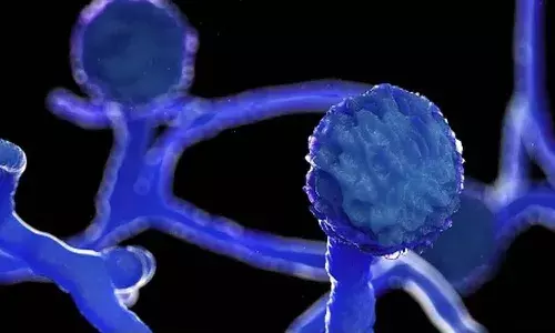 Black fungs infection