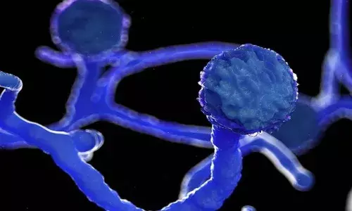 Black fungs infection
