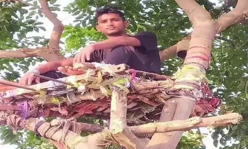 ట్రీ ఐసోలేషన్.. ఆ యువకుడికి తట్టిన ఐడియా సూపర్