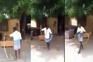 snake in lungi snake in lungi