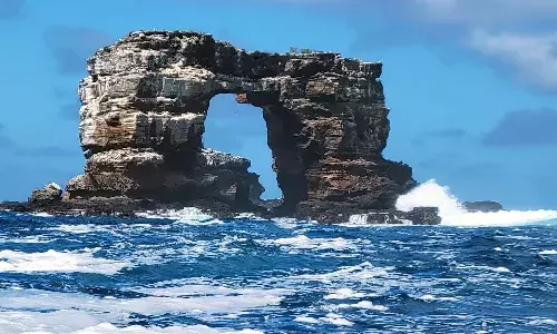 Darwins Arch