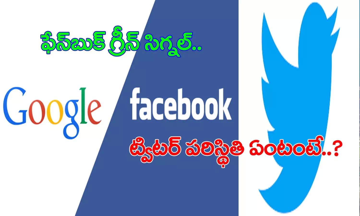 social media firms