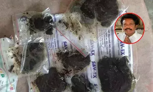 ఆనందయ్య మందుకు ఏపీ ప్రభుత్వం గ్రీన్ సిగ్నల్