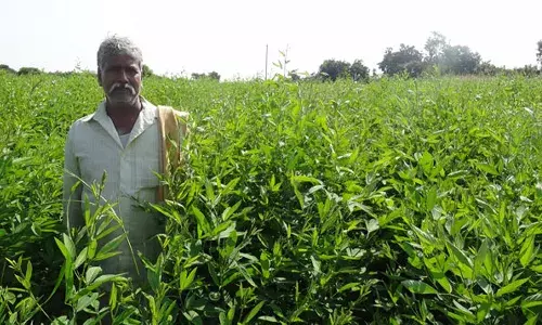రాజధానికి భూములిచ్చిన రైతులకు తక్షణమే కౌలు చెల్లించాలి