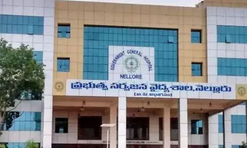 నెల్లూరు జీజీహెచ్ ఘటనపై ప్రభుత్వం సీరియస్