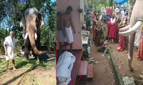 మావటికి కన్నీటి వీడ్కోలు పలికిన ఏనుగు.. గుండెల్ని బరువెక్కిస్తున్న వీడియో