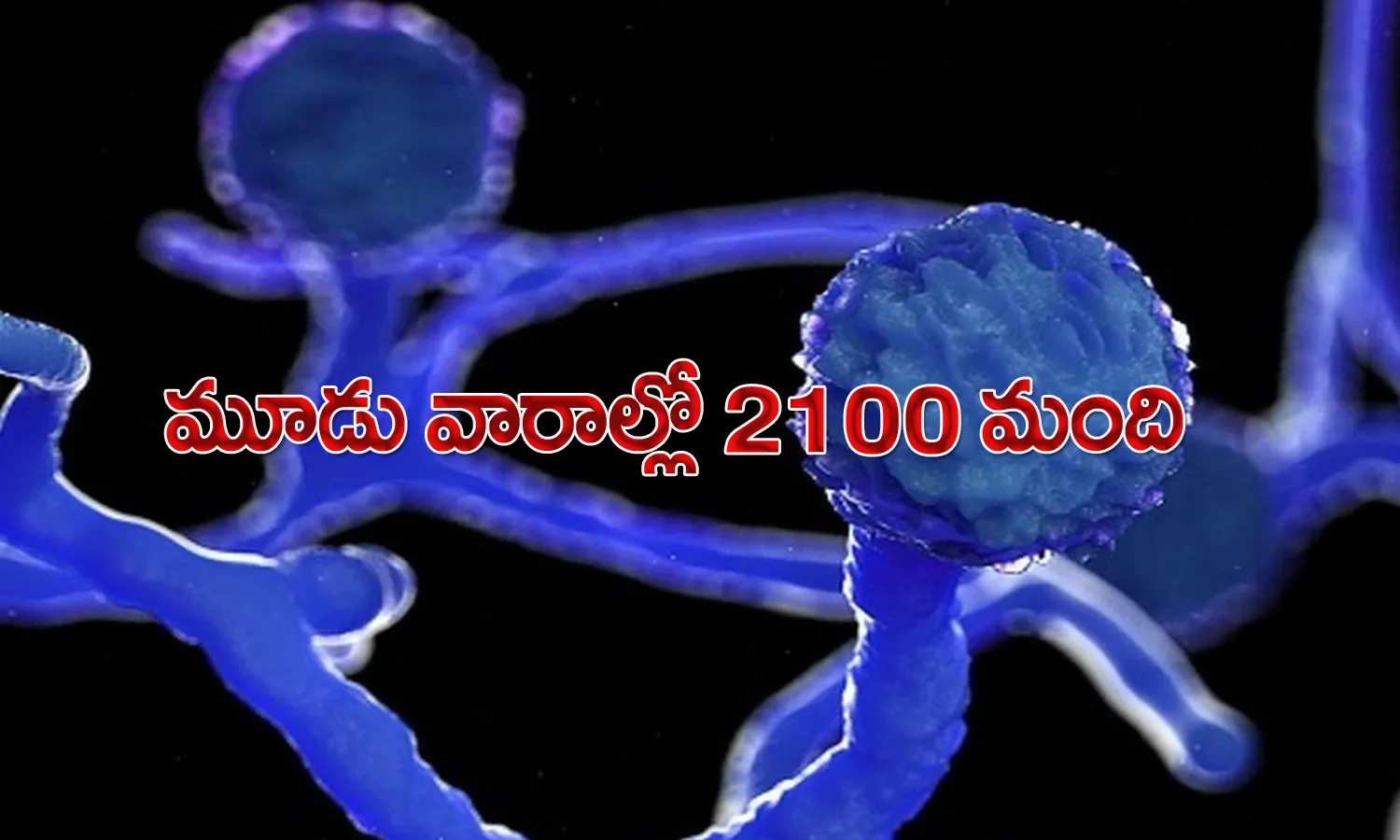 బ్లాక్ ఫంగ‌స్‌.. మూడు వారాల్లో 2100 మంది మృతి