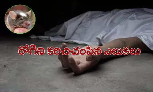 దారుణం.. ఐసీయూలో రోగిపై ఎలుకల దాడి.. మృతి..!