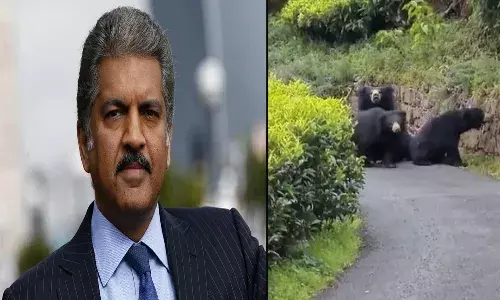 థ్రిల్ కావాలంటే చివరి వరకూ చూడండి అంటున్న ఆనంద్ మ‌హీంద్ర‌