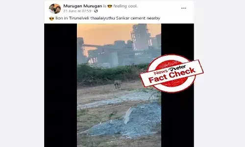 Fact Check : తిరునెల్వేలి జిల్లాలో ఫ్యాక్టరీల వద్ద సింహం..?