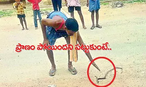 చనిపోయిందని పట్టుకుంటే.. అతడి ప్రాణాన్నే తీసింది