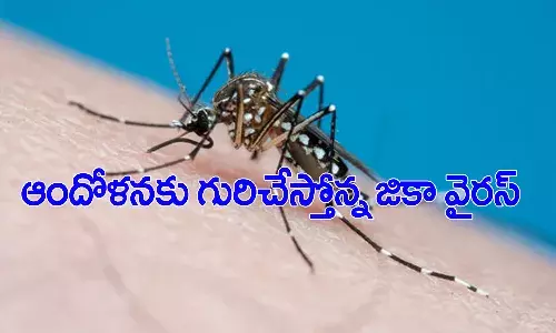 కేర‌ళ‌లో జికా వైర‌స్ క‌ల‌క‌లం