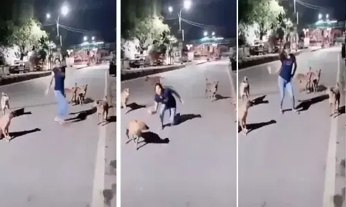 రాత్రి ఒంటరిగా వెలుతున్న యువతి.. చుట్టుముట్టిన కుక్కలు.. డ్యాన్స్.. వీడియో వైరల్