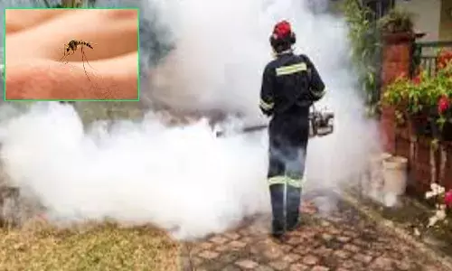 దోమలకు పొగ.. ఊపిరాడక మహిళ మృతి