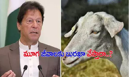 మేకపై సామూహిక అత్యాచారం.. ప్రధానిపై విమర్శలు