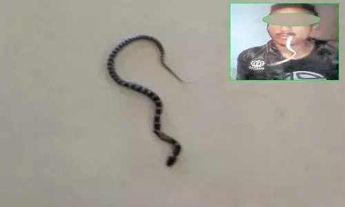 పిచ్చి పీక్స్‌.. లైక్‌ల కోసం బ‌తికున్న పామును తినేశాడు