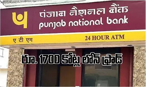 పంజాబ్ నేషనల్ బ్యాంక్ మోసం కేసు.. విఎంసి సిస్టమ్స్ లిమిటెడ్ డైరెక్టర్ ఉప్పలపాటి హిమబిందు అరెస్ట్