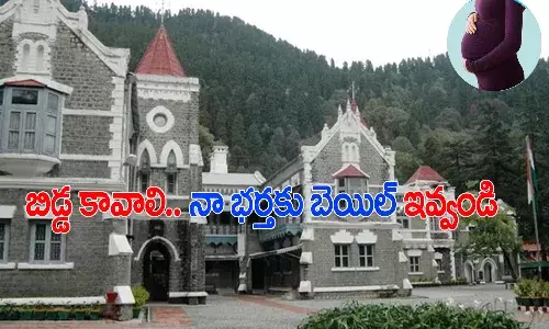 వింత పిటిషన్‌.. నేను బిడ్డ‌ను క‌నాలనుకుంటున్నాను నా భర్తకు బెయిలివ్వండి