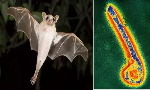 వెస్ట్ ఆఫ్రికాలో ప్రాణాంతక మార్బర్గ్ వైరస్.. 100 మందిలో 88 మంది చనిపోయే అవకాశం