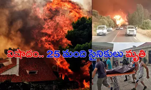 అల్జీరియాలో కార్చిచ్చు.. 25 మంది సైనికులతో సహా 42 మంది మృతి