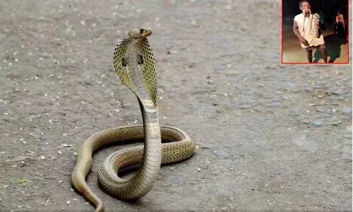 పాము కరిచిందని.. ప్రతీకారం తీర్చుకున్నాడు
