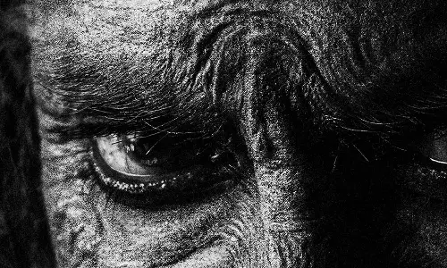 గంభీరమైన లుక్ : సలార్లో ప్రభాస్ ప్రత్యర్ధి అదిరిపోయాడు..!