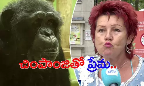 చింపాజీతో ప్రేమాయణం.. ఆ మహిళను బ్యాన్ చేసిన అధికారులు