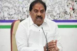 అగ్రిగోల్డ్ ఆస్తులను దోచుకోవాలని ప్రయత్నాలు చేశారు అగ్రిగోల్డ్ ఆస్తులను దోచుకోవాలని ప్రయత్నాలు చేశారు