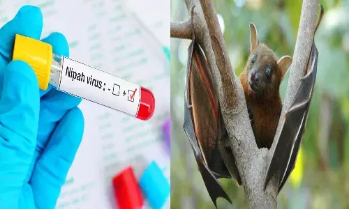 నిఫా కలకలం.. కేరళలో 12 ఏళ్ల బాలుడి మృతి