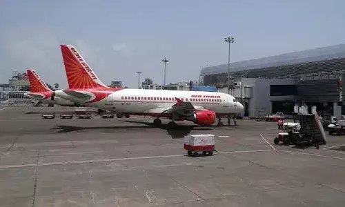 బిజినెస్ క్లాసులో చీమలు కనిపించడంతో..!