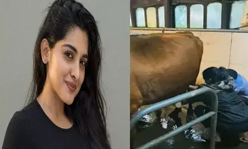 పాలు పితికిన నివేదా.. వీడియో వైర‌ల్‌