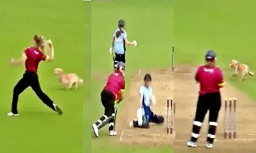 ఫీల్డింగ్ చేసిన కుక్క.. వైరల్ వీడియో..!