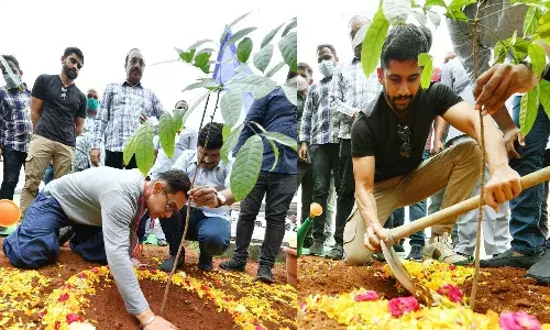 గ్రీన్ ఇండియా ఛాలెంజ్.. మొక్కలు నాటిన అమీర్ఖాన్