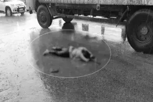 బైక్ పై వెళుతున్న వారిపై పడిన పిడుగు.. ఇద్దరు మృతి బైక్ పై వెళుతున్న వారిపై పడిన పిడుగు.. ఇద్దరు మృతి