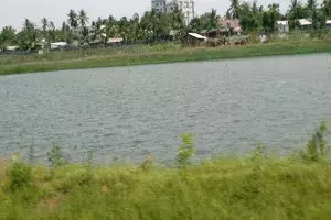 చెరువులో తల్లి, రెండేళ్ల చిన్నారి మృతదేహాలు చెరువులో తల్లి, రెండేళ్ల చిన్నారి మృతదేహాలు