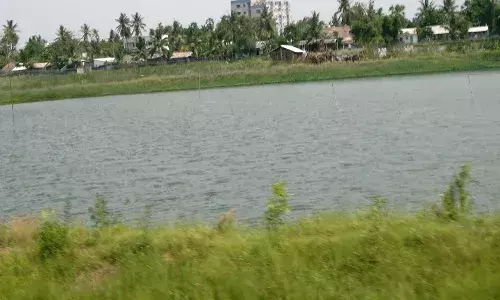 చెరువులో తల్లి, రెండేళ్ల చిన్నారి మృతదేహాలు