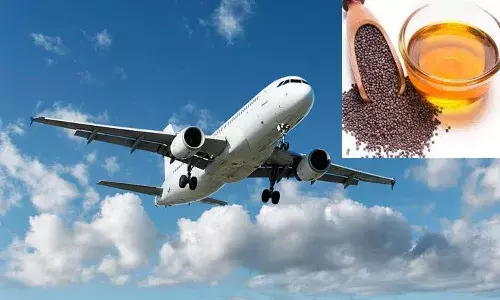 కూరలకు తాళింపు వేసే ఆవాలతో విమానం ఇంధనం.. అద్బుతం సృష్టించిన భారతీయుడు.!