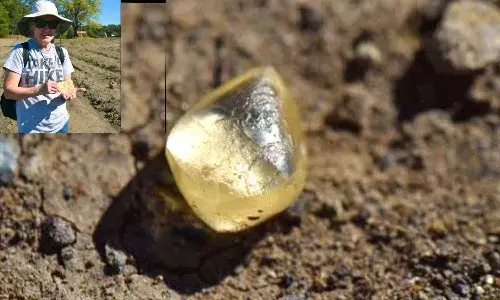 మార్నింగ్‌ వాకింగ్‌కు వెళ్లింది.. అదృష్టం తలుపు తట్టింది..!