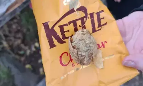 చిప్స్‌ ప్యాకెట్‌లో ఆలుగడ్డ.. కస్టమర్‌కు ఆ సంస్థ ఏం చెప్పిందంటే..!