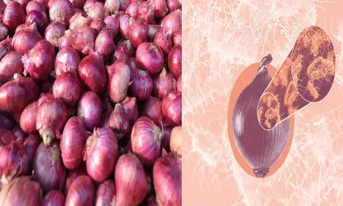 ఉల్లిగడ్డతో కొత్త వ్యాధి.. భయపడుతున్న ప్రజలు