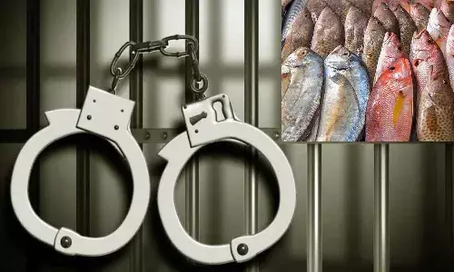 చేప తెచ్చిన గొడవ.. బంధువును హత్య చేసిన యువకుడు.!