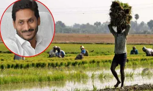 ఏపీలో రైతులకు శుభవార్త.. ఒకే రోజు 3 పథకాల ద్వారా నగదు జమ