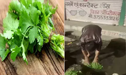 ఈ వీడియో చూస్తే.. ఇక జన్మలో కొత్తిమీర తినరు