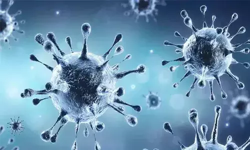 తెలంగాణలోనూ ఏవై 4.2 కరోనా వేరియంట్.!