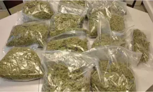 ఎల్బీనగర్లో భారీగా గంజాయి పట్టివేత