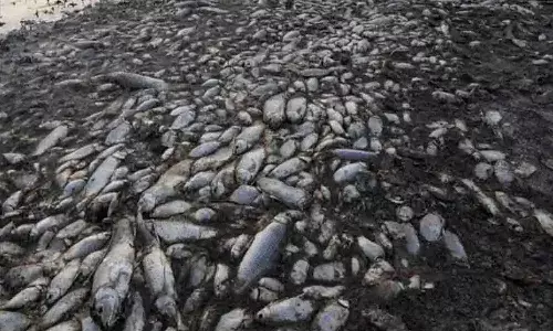 అరుణాచల్ప్రదేశ్ కామెంగ్ నదిలో నీళ్లు నల్లగా.. చైనా పనేనంటున్న స్థానికులు..!